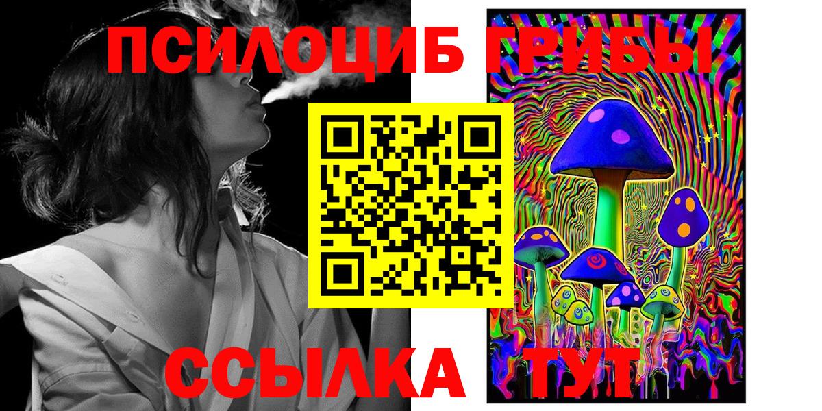 Галлюциногенные грибы Psilocybine cubensis Тихвин