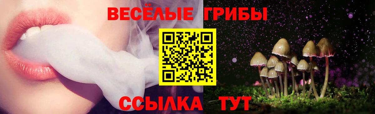 Тихвин  Псилоцибиновые грибы Magic Shrooms  Вход с VPN 